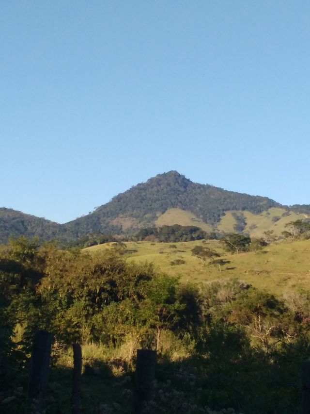 lindo