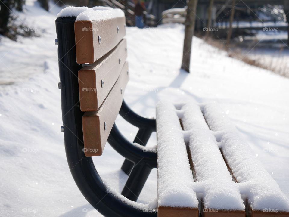 A walk through a winter wonderland, minutes into the local downtown area. Ice, snow, trees, water, and a little wildlife for good measure!