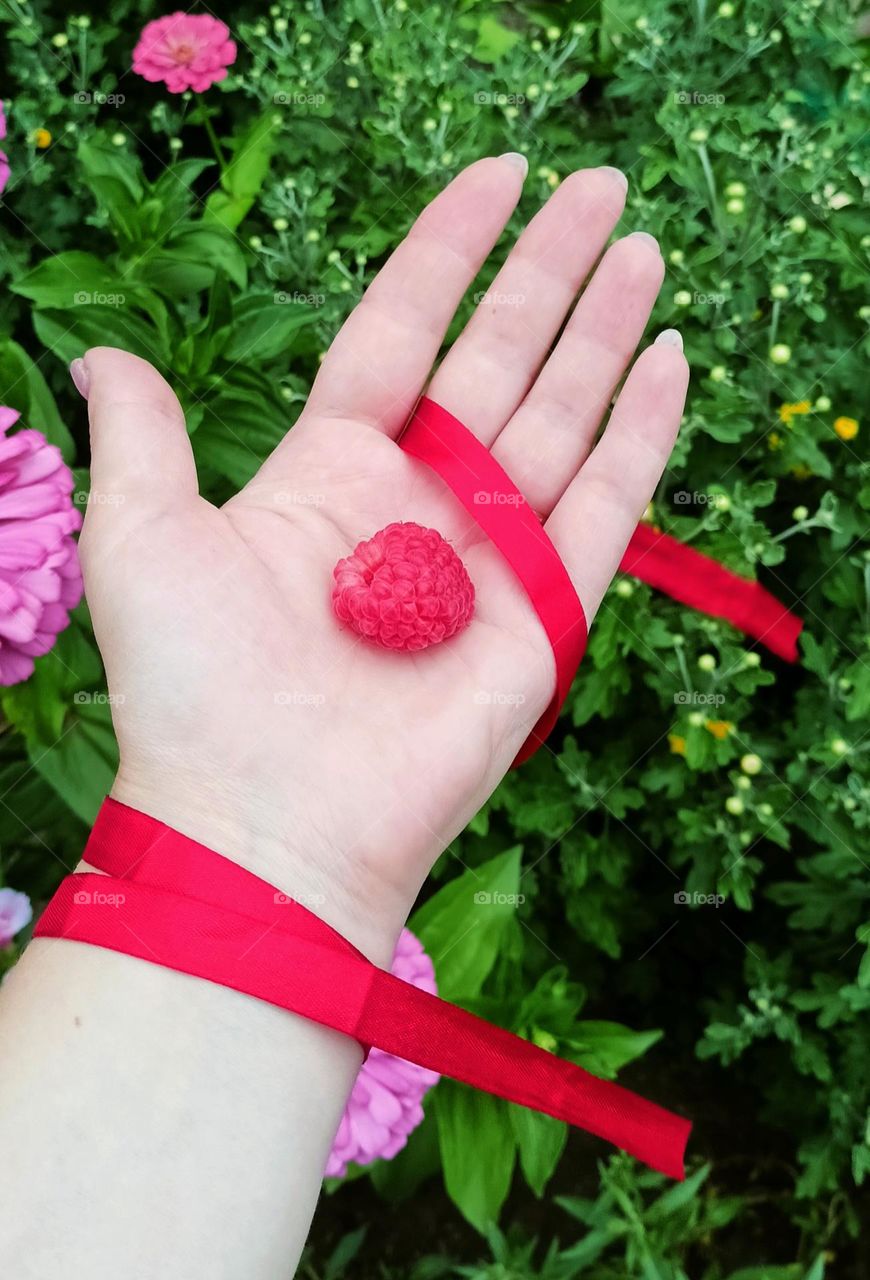 berry in the palm of your hand