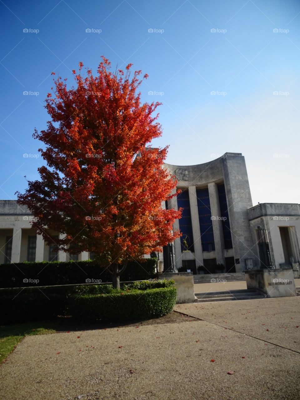 Fall, Park, No Person, Tree, Architecture