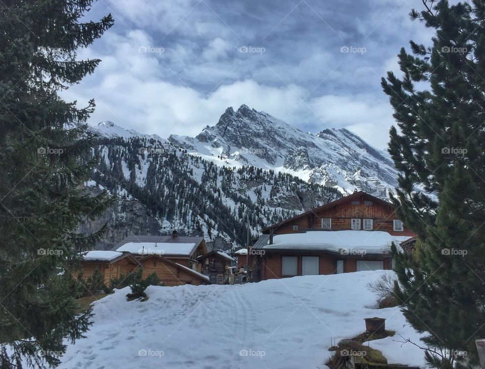 Snow-capped winter landscape 