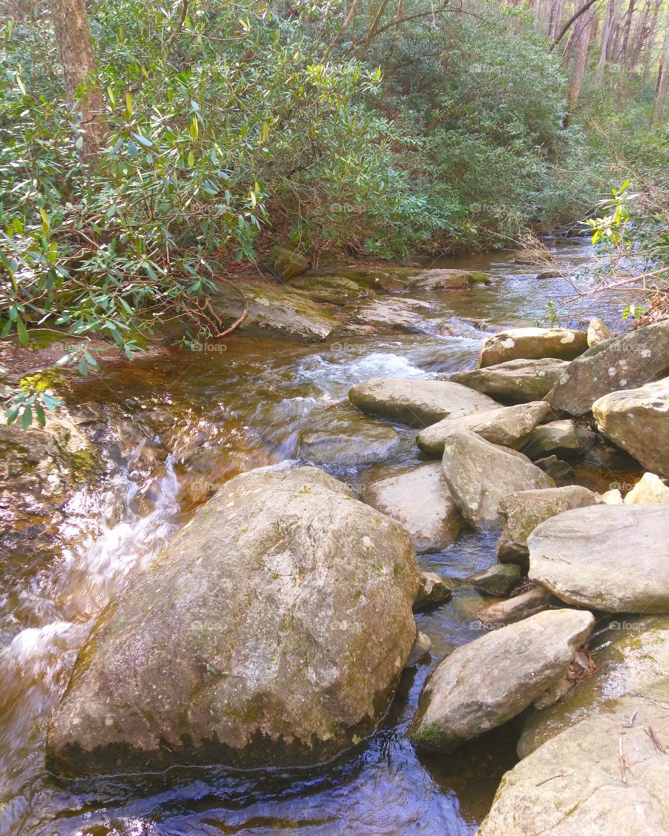 another stunning creek side shot, scenes like this really make you appreciate nature!