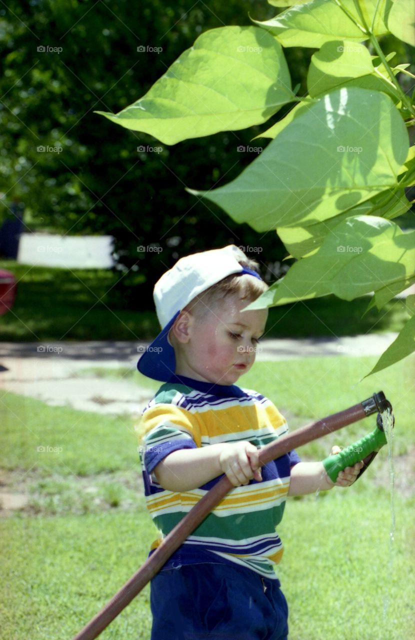 Young Boy Watering Plants in the Middle of Summer