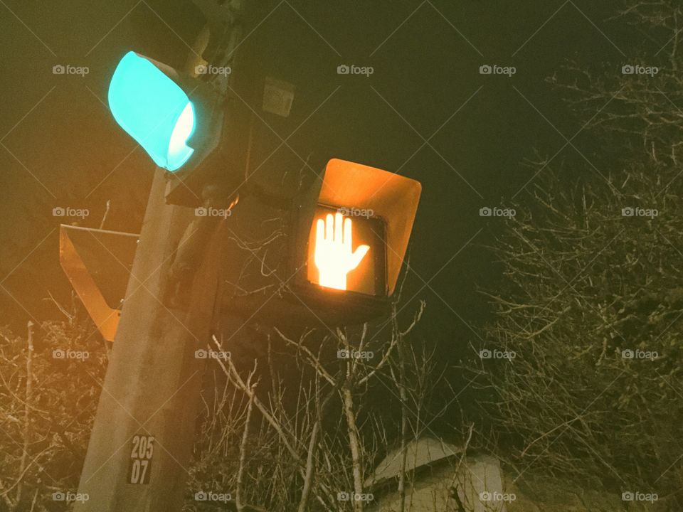 Crossing Light in the Street 