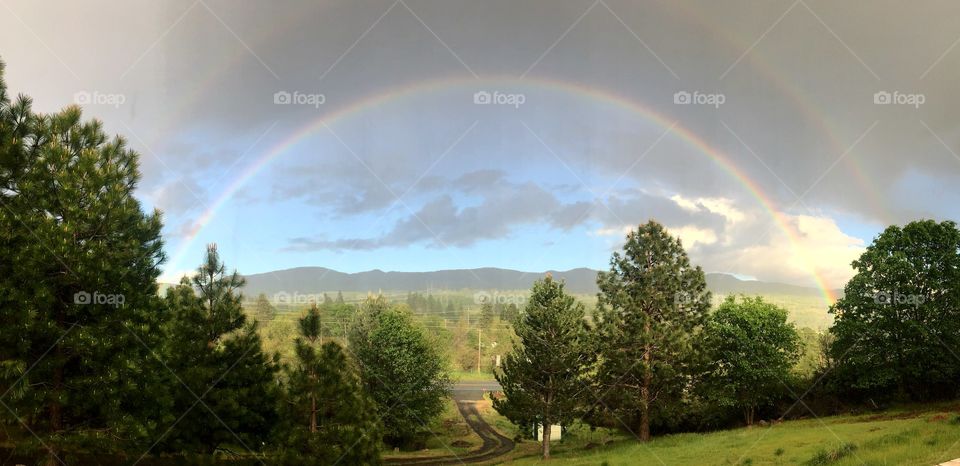 Taken using phone panoramic feature. Outside my front door. A double rainbow! its was still raining but sun began to peek thru.