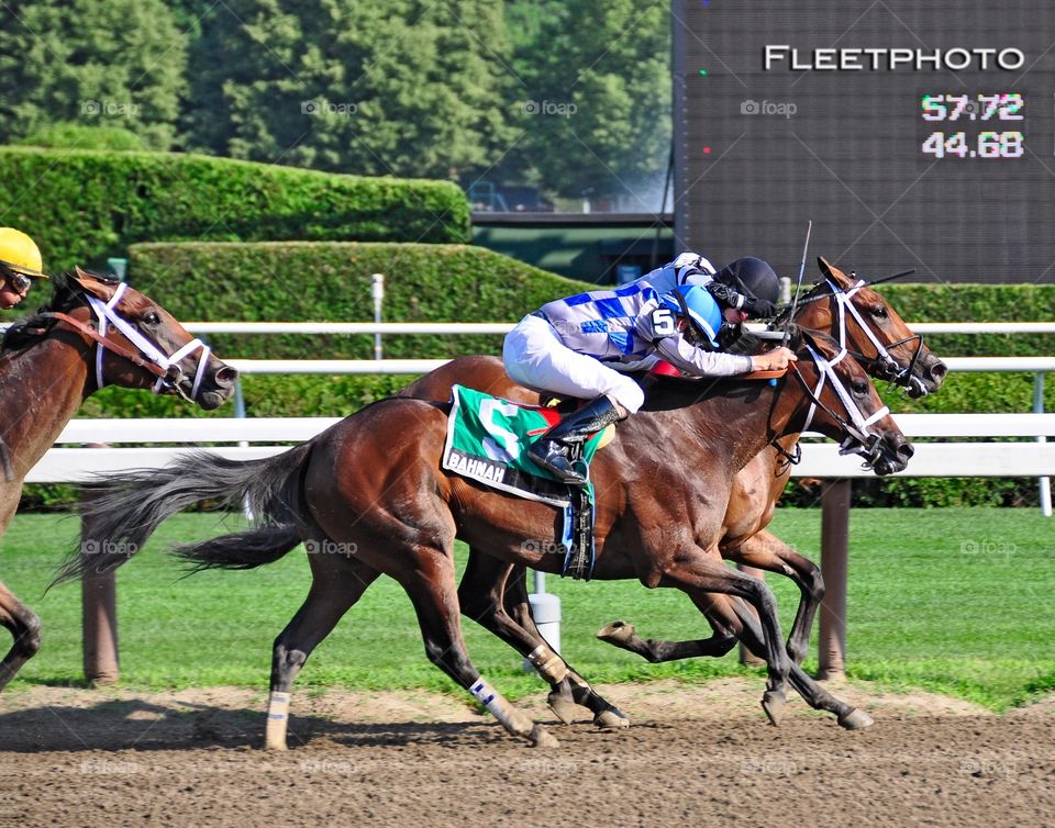 Bahnah & Brazen Persausion . The best 2 yr-old fillies fight for the lead in the Schuylerville stakes at Saratoga. Bahnah and Brazen Persausion tied 