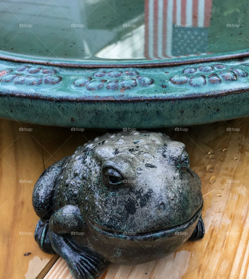 Birdbath on Railing, Frog🐸Statue, Flag🇺🇸Reflecting into Water!