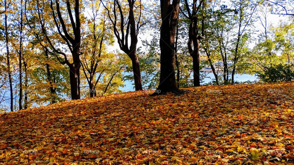 Autumn landscape 🍂🍁 Season 🍂🍁 Fall time 🍂🍁 The park 🍂🍁