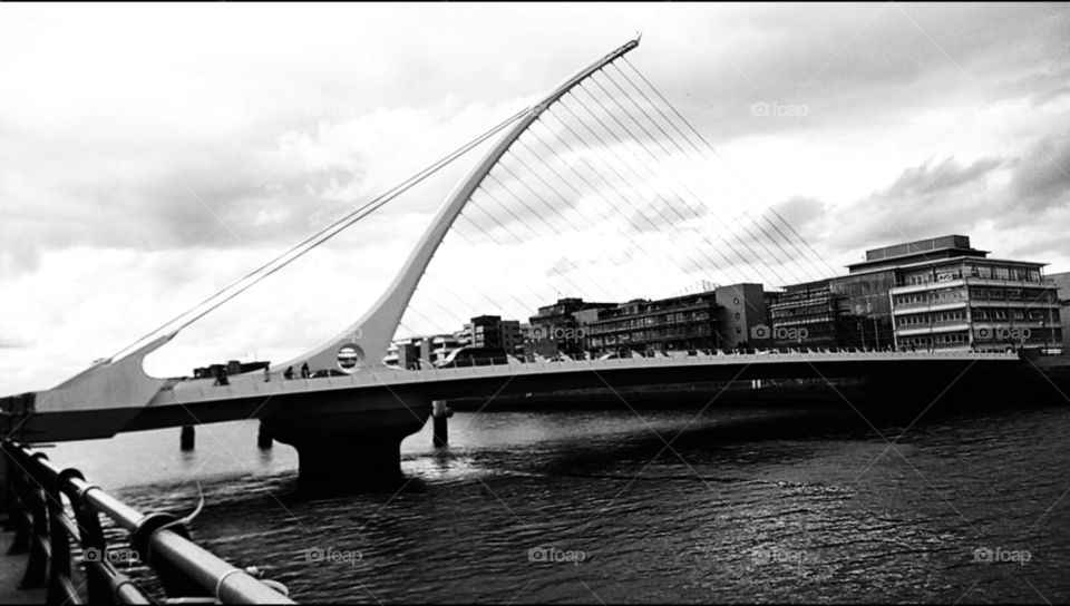 Samuel Beckett Brigde 🌉 - Dublin