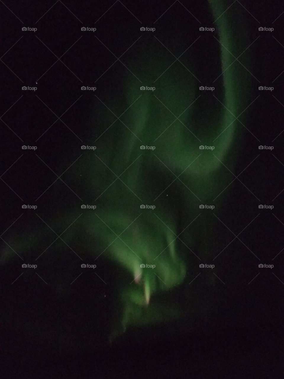 Northern Lights eagle head shape?