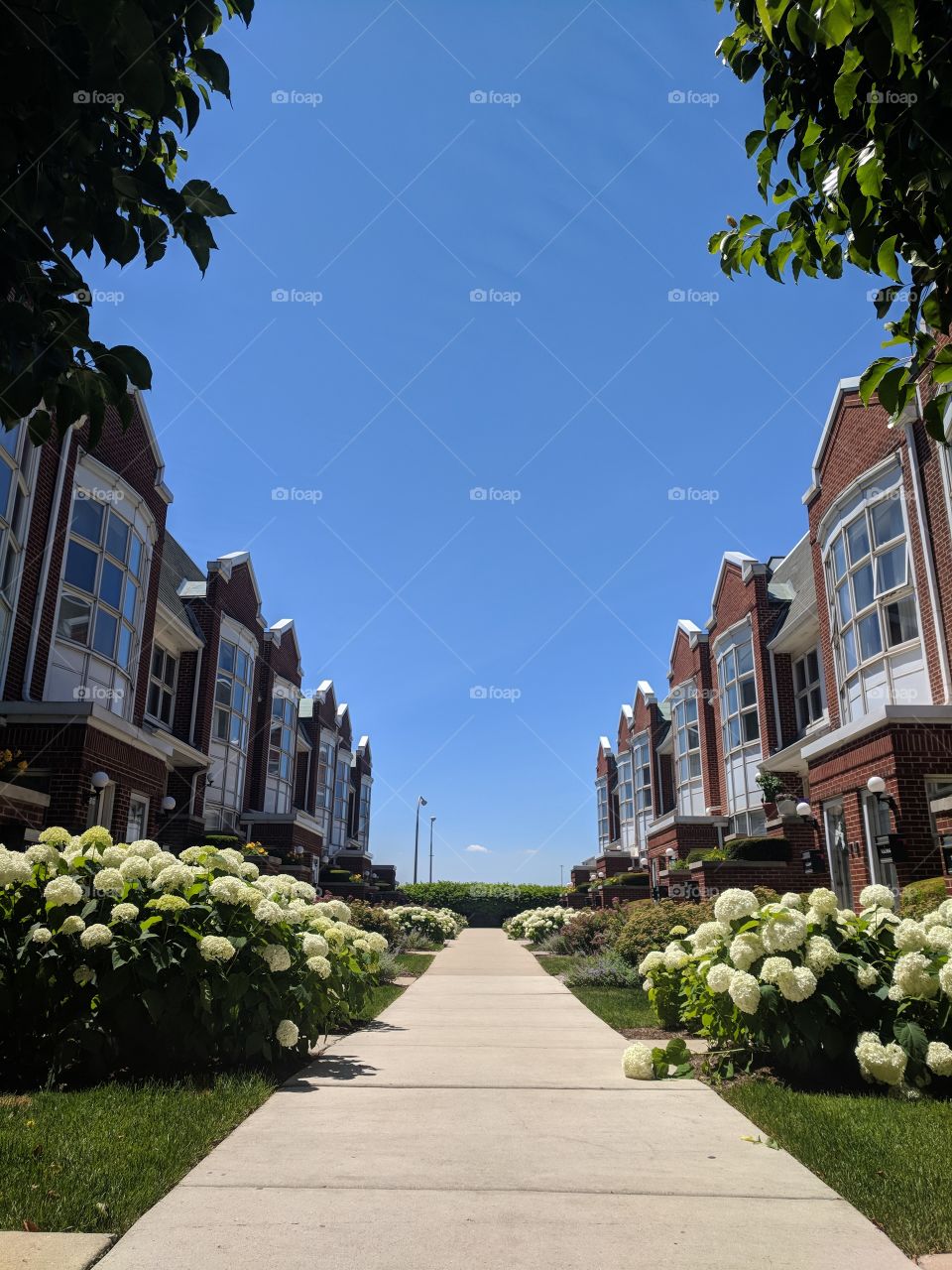 Townhomes against a blue sky