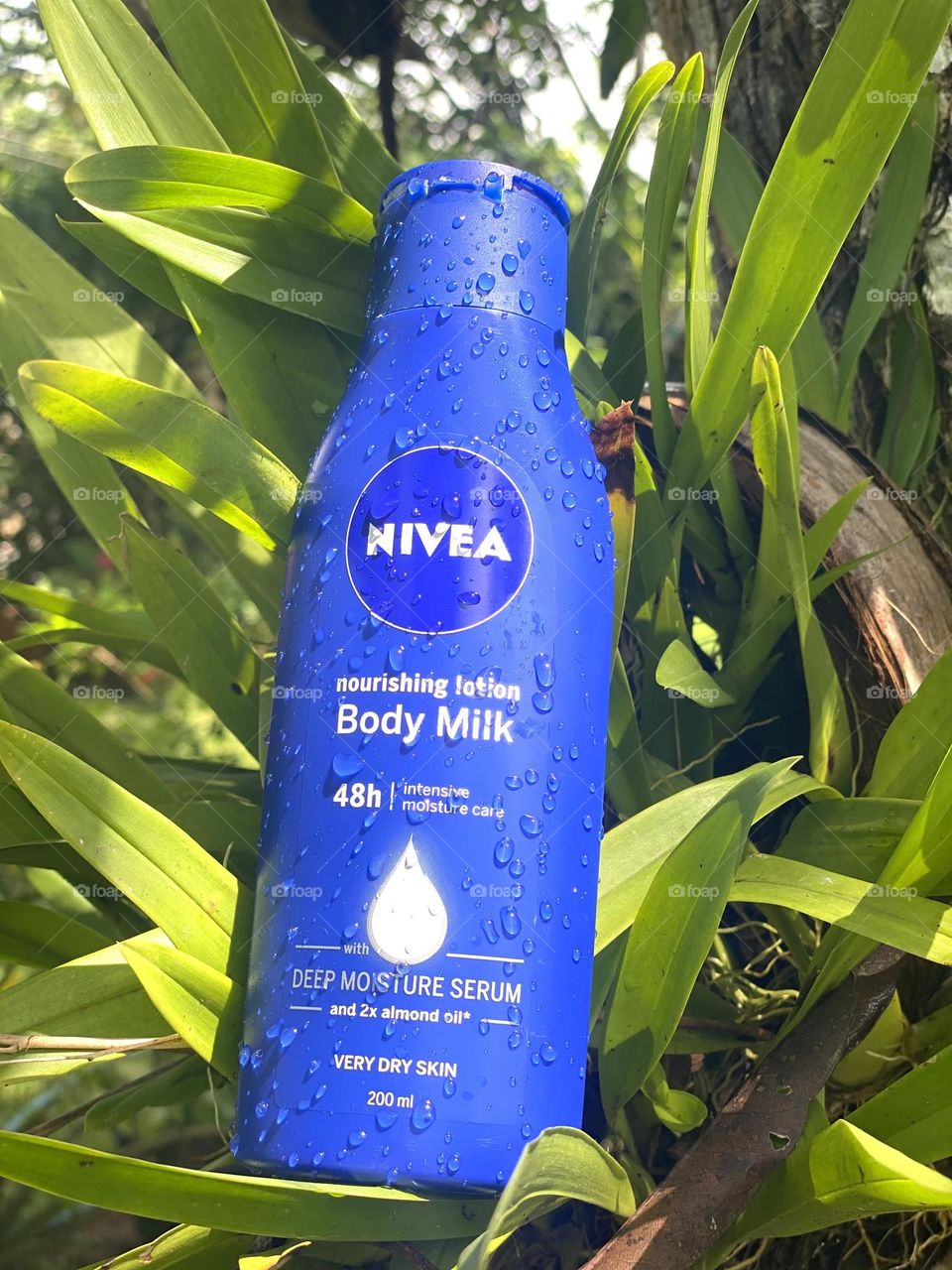 Nivea 