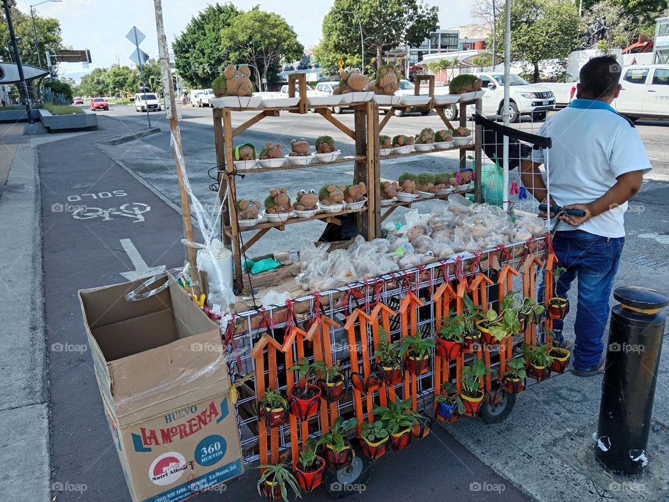 carrito de macetas