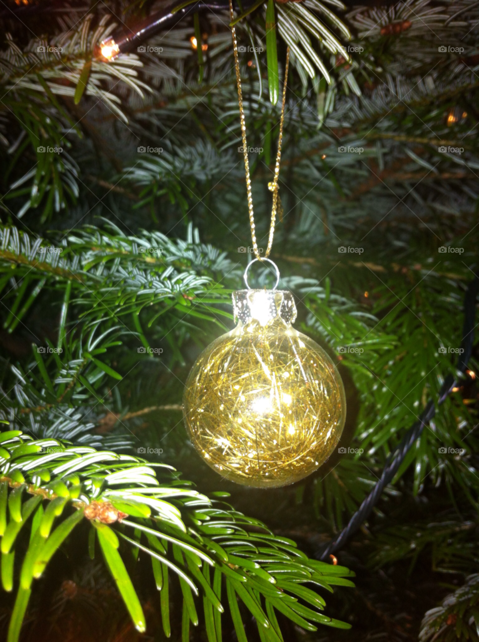 winter christmas christmas tree festive by eewilliams