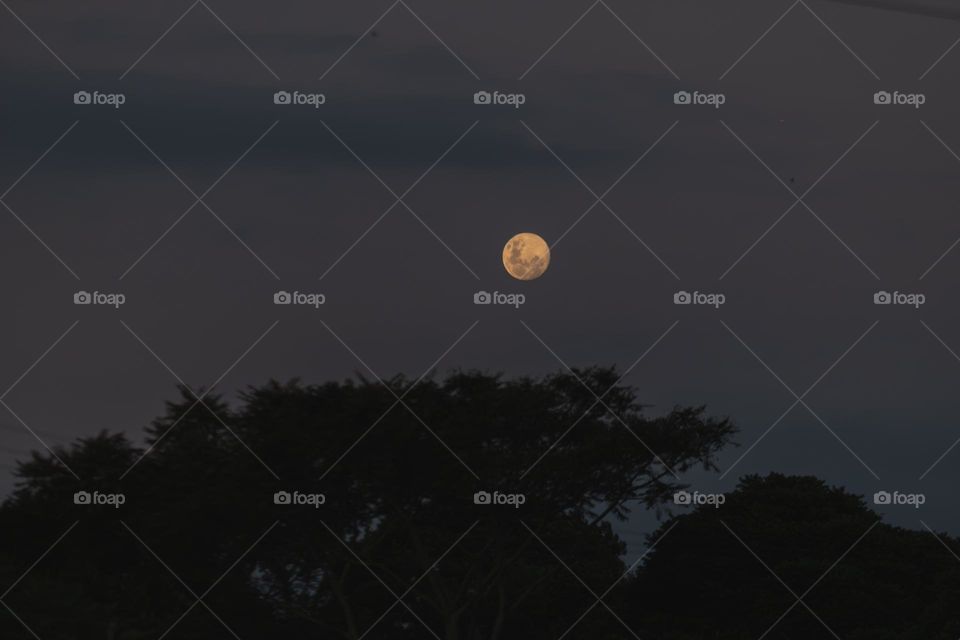 lua em pista de skate no interior da cidade.