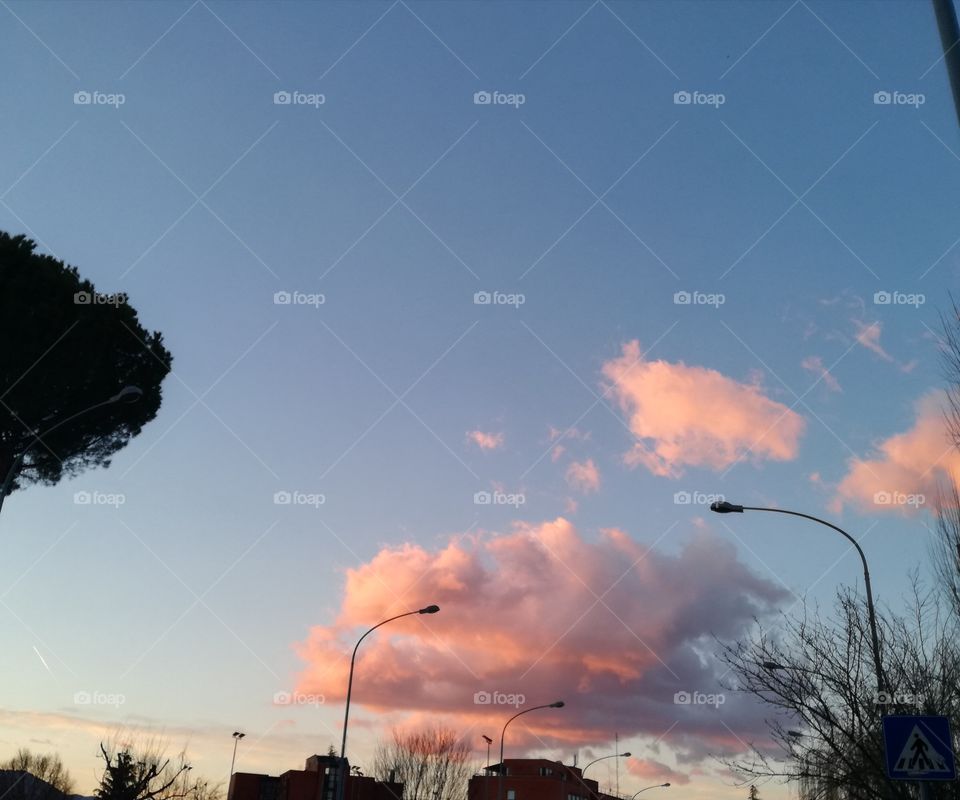 Sunset in a wind day. The colours of nature