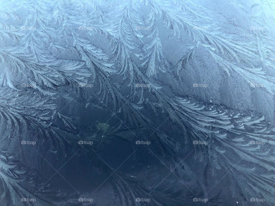 First frost of the season, ice on a car window