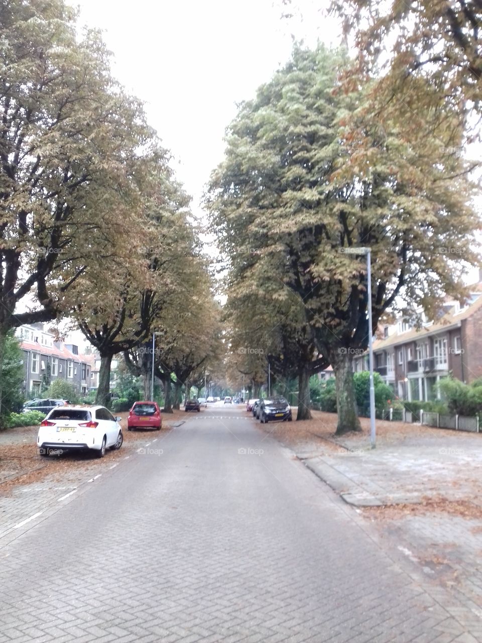 fall street