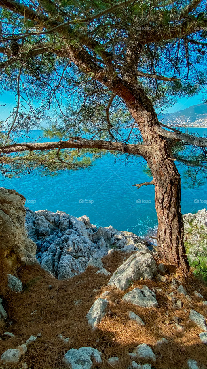 Beautiful view on the sea