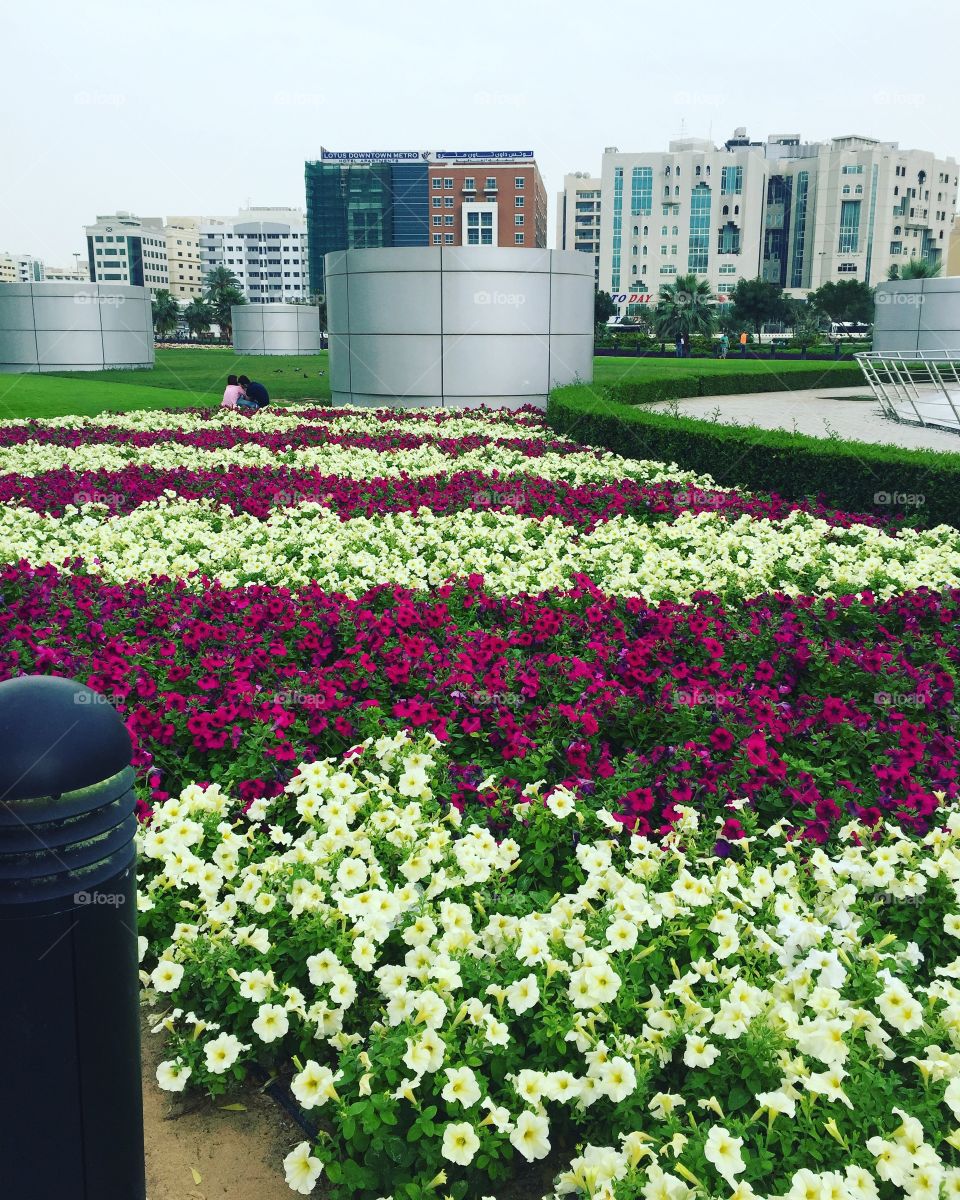 Fresh Flowers in Dubai
