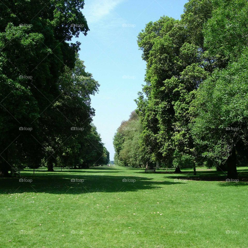 Kew Gardens! A lovely patch of green green grass!