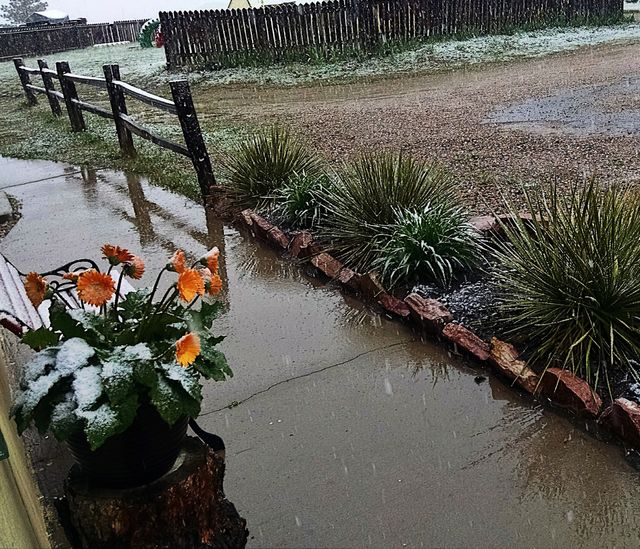 Rain and sleet