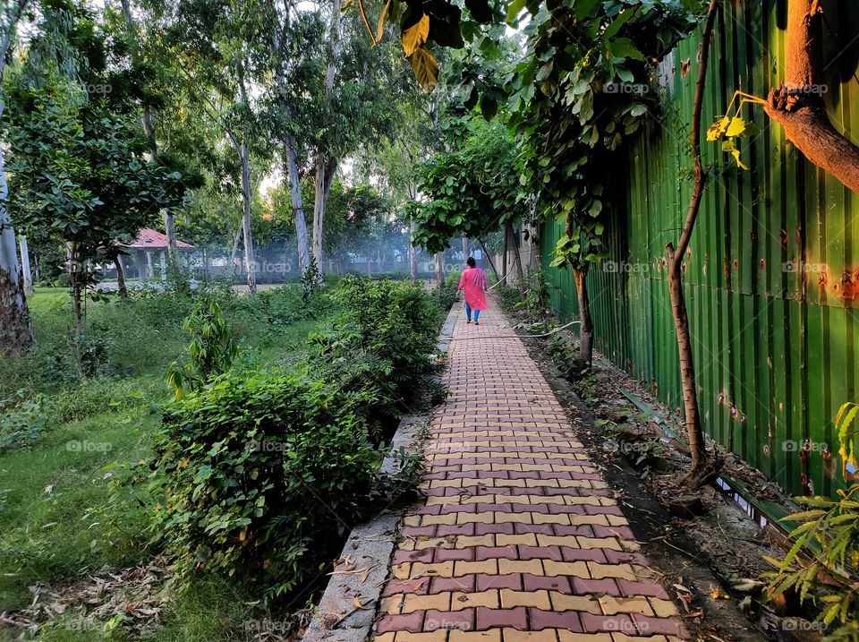 A woman walking on the footpath in a garden