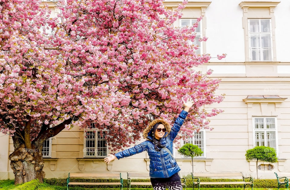 Flower, Garden, Park, Tree, Outdoors