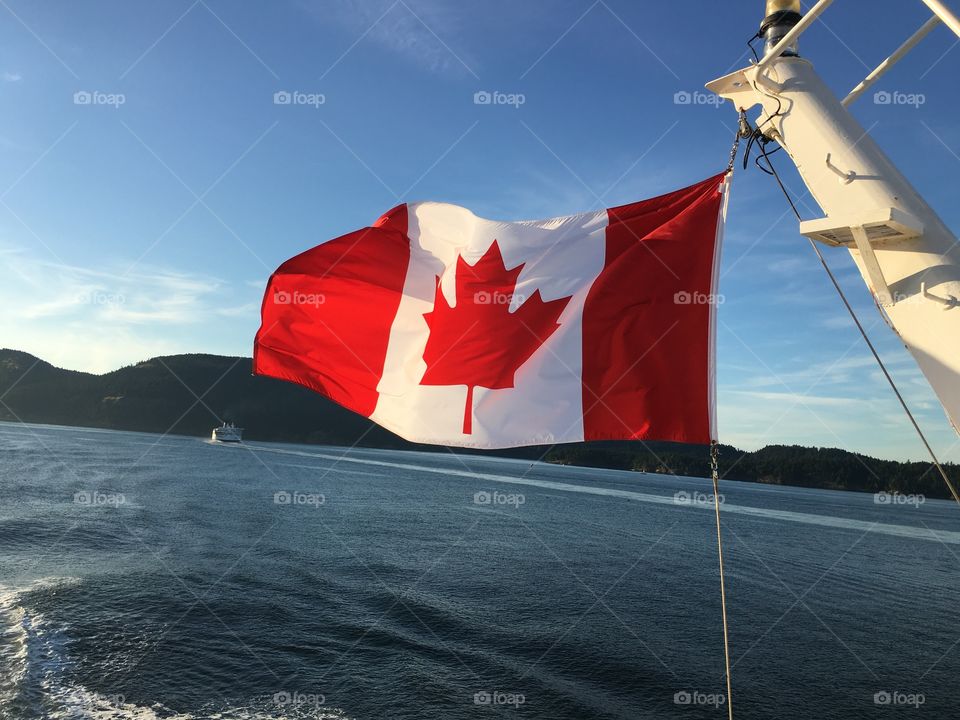 Canadian flag waving against sea