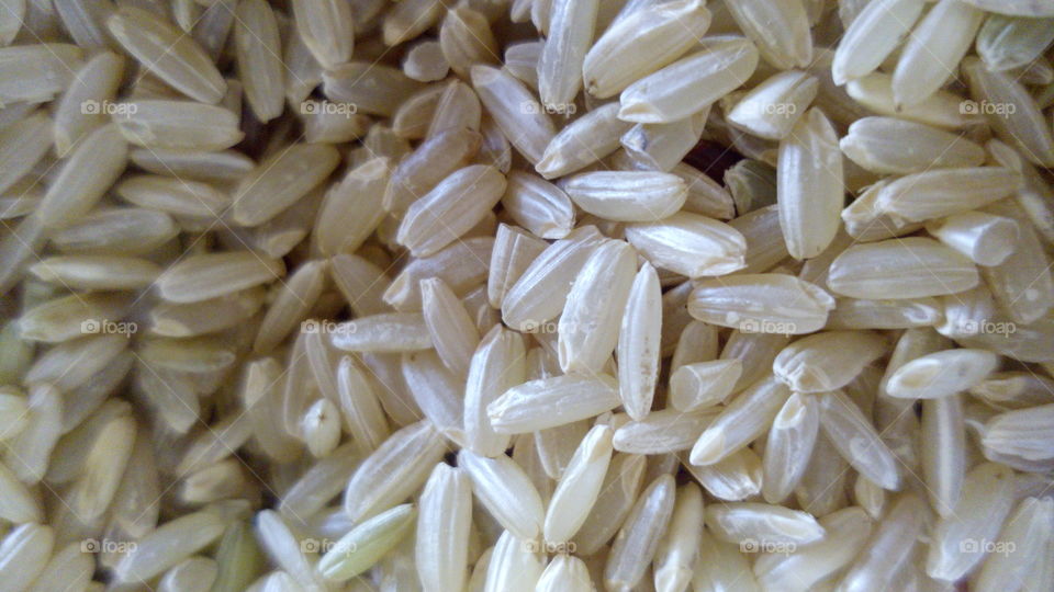 rice