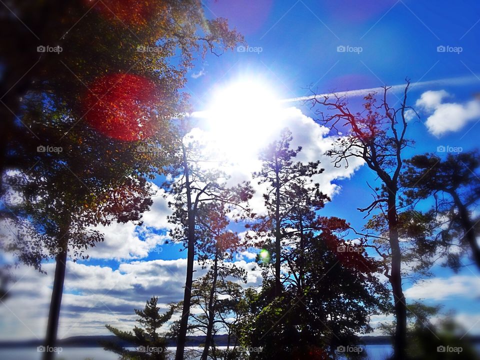 Sun shining so brightly in the sky