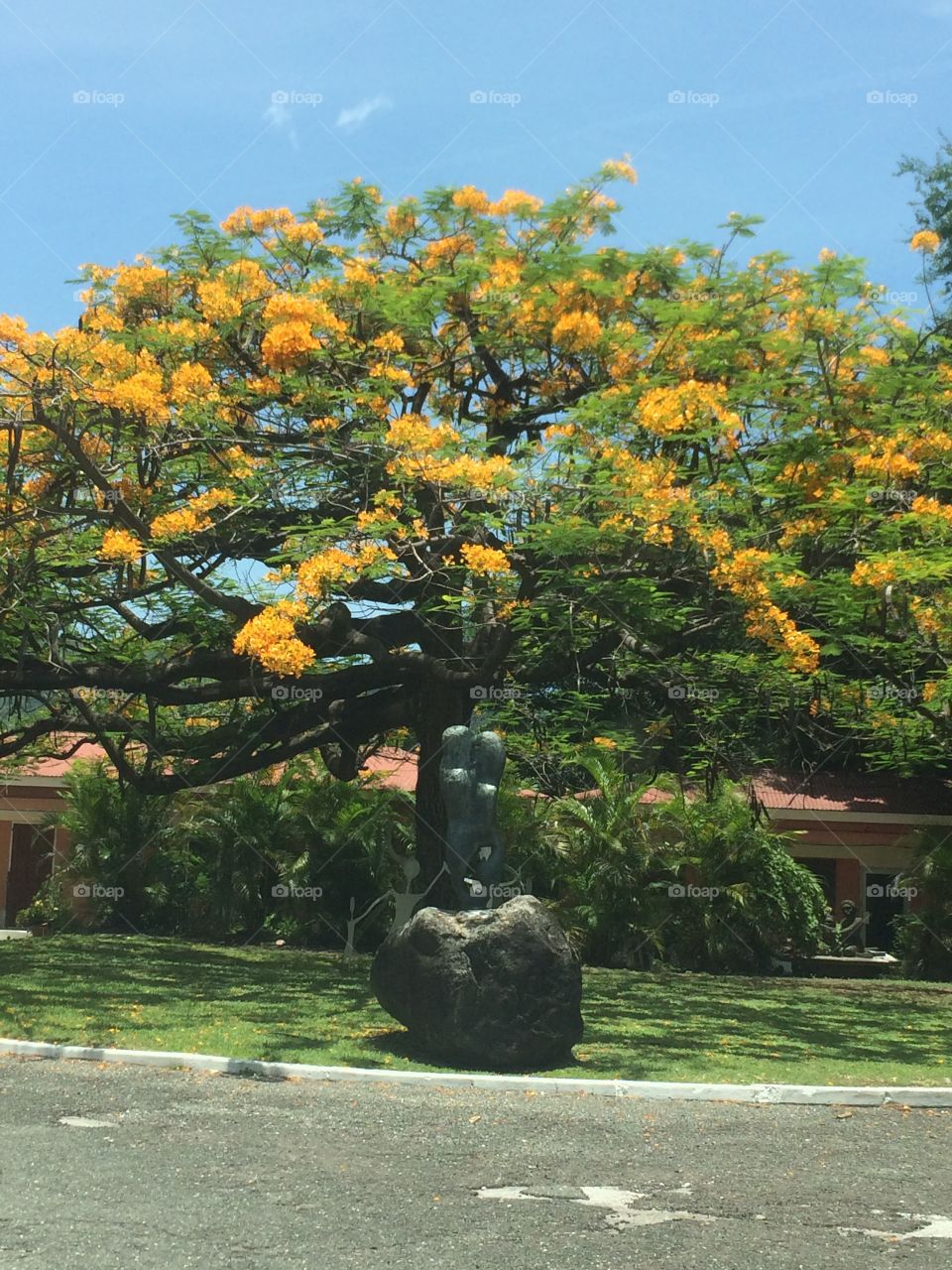 Artistic Expression in Nature