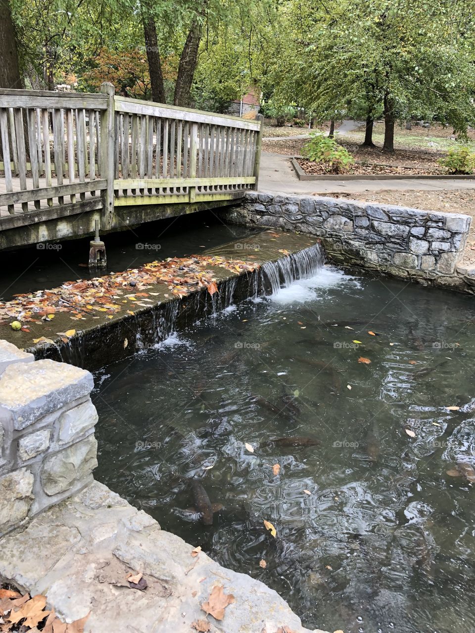 Small Wooden bridge walkway over stream falls local park Autumn day 