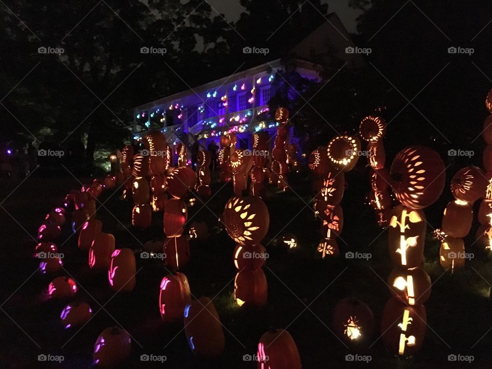 The Great Jack O’Lantern Blaze