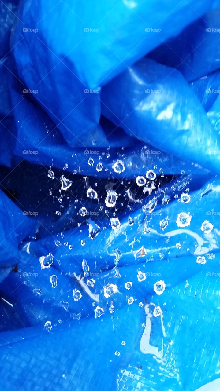 Wet Spiderweb
