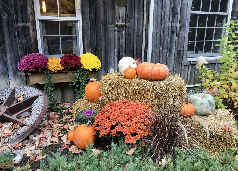 Fall decorations in front of an old mill.