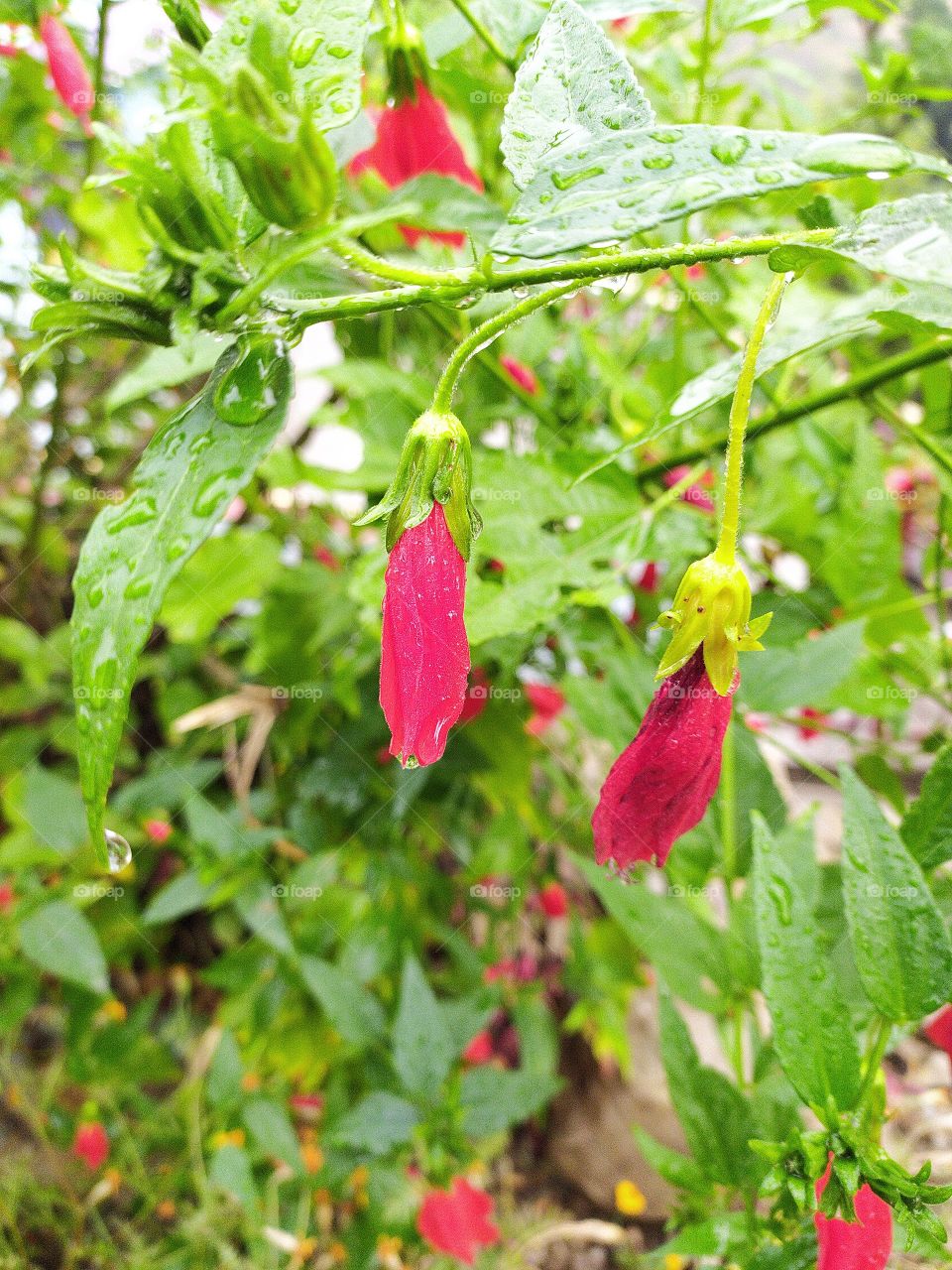 Sunshine after a sudden rain