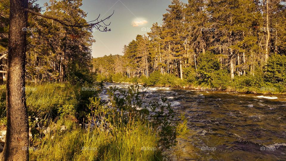 Beautiful river crept in by greens