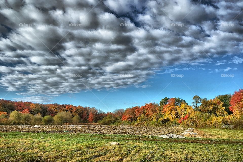 New England fall colors 