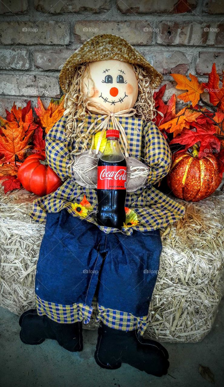Cola in the Fall