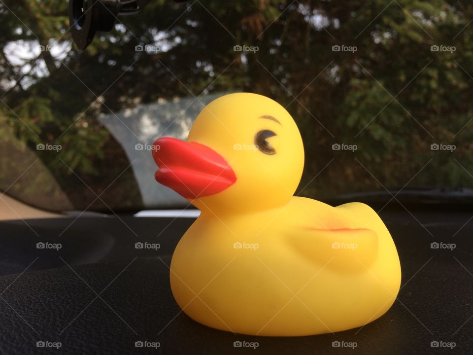 Rubber ducky on dash