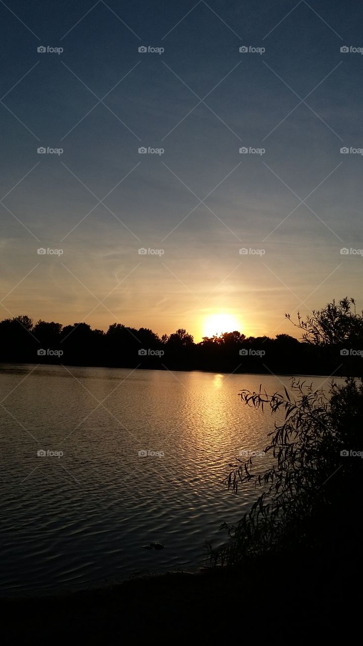 sunset behind the trees