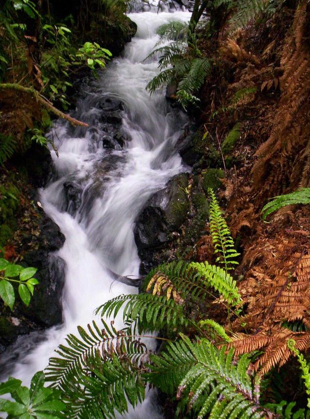 waterfall