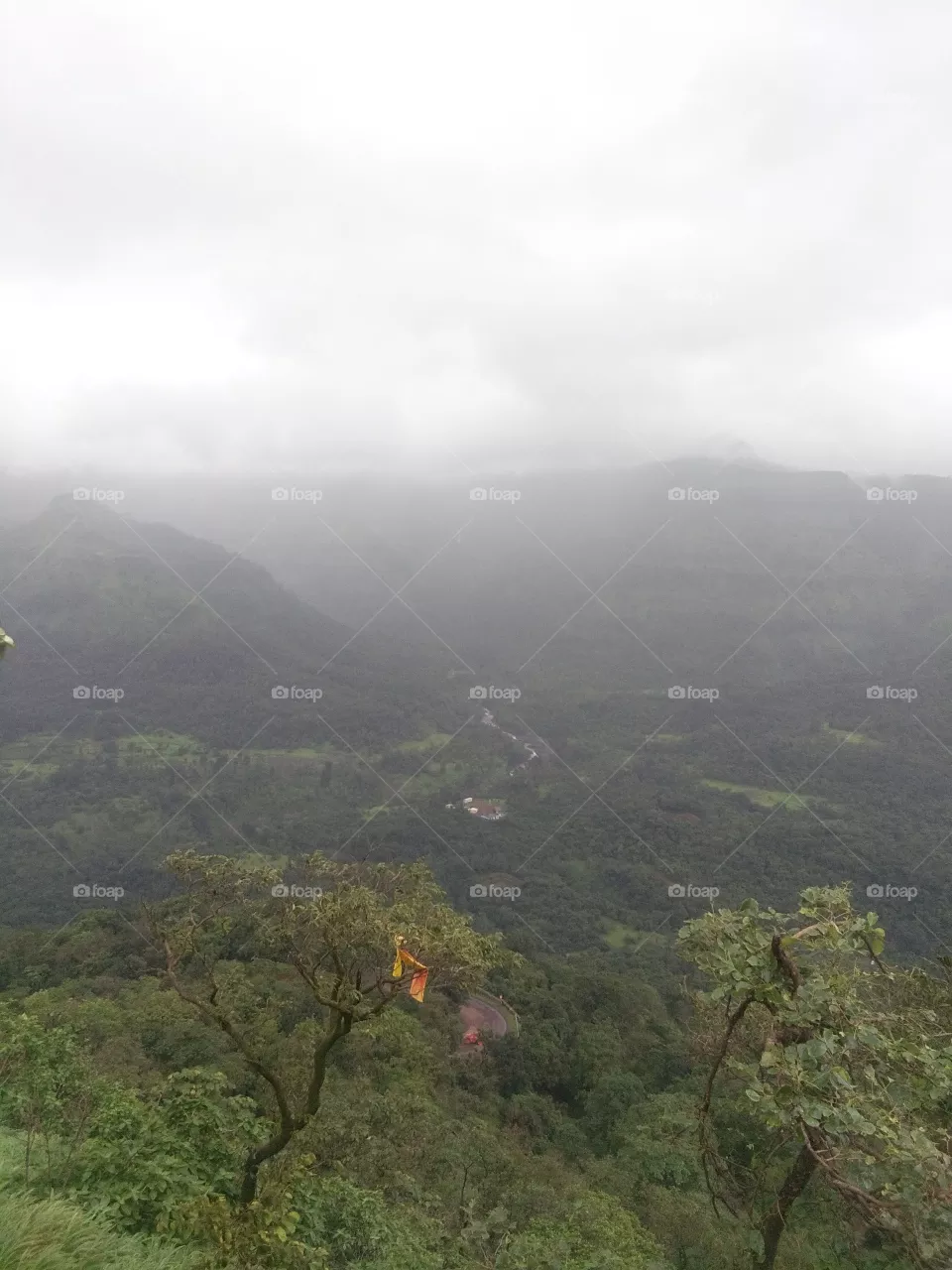 Mountain