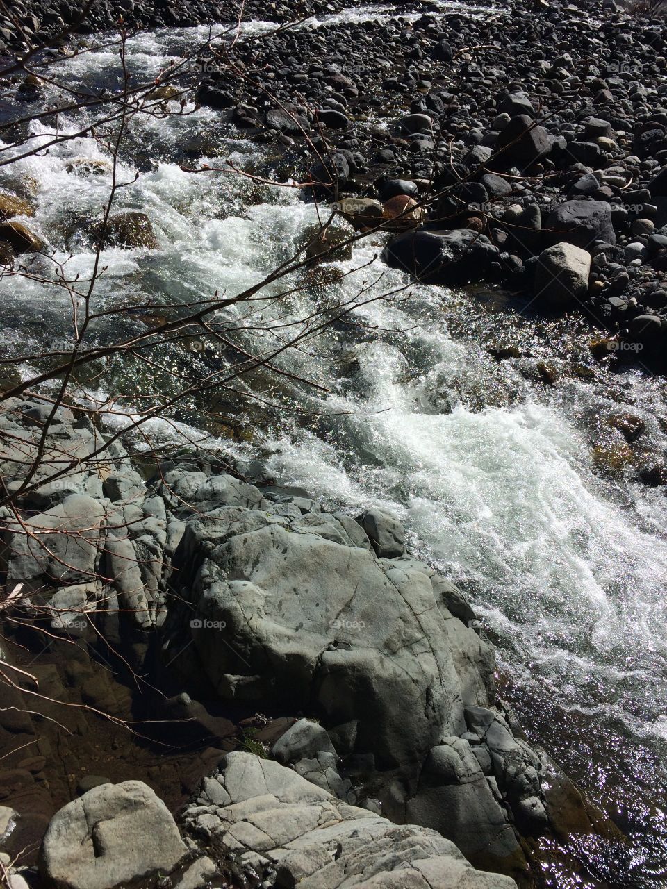 Nisqually River at Mt Rainier National Park 