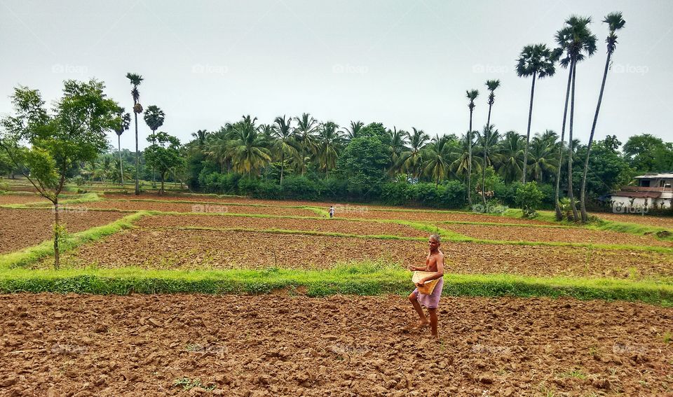 AN INDIAN FORMER (The Backbone Of India )