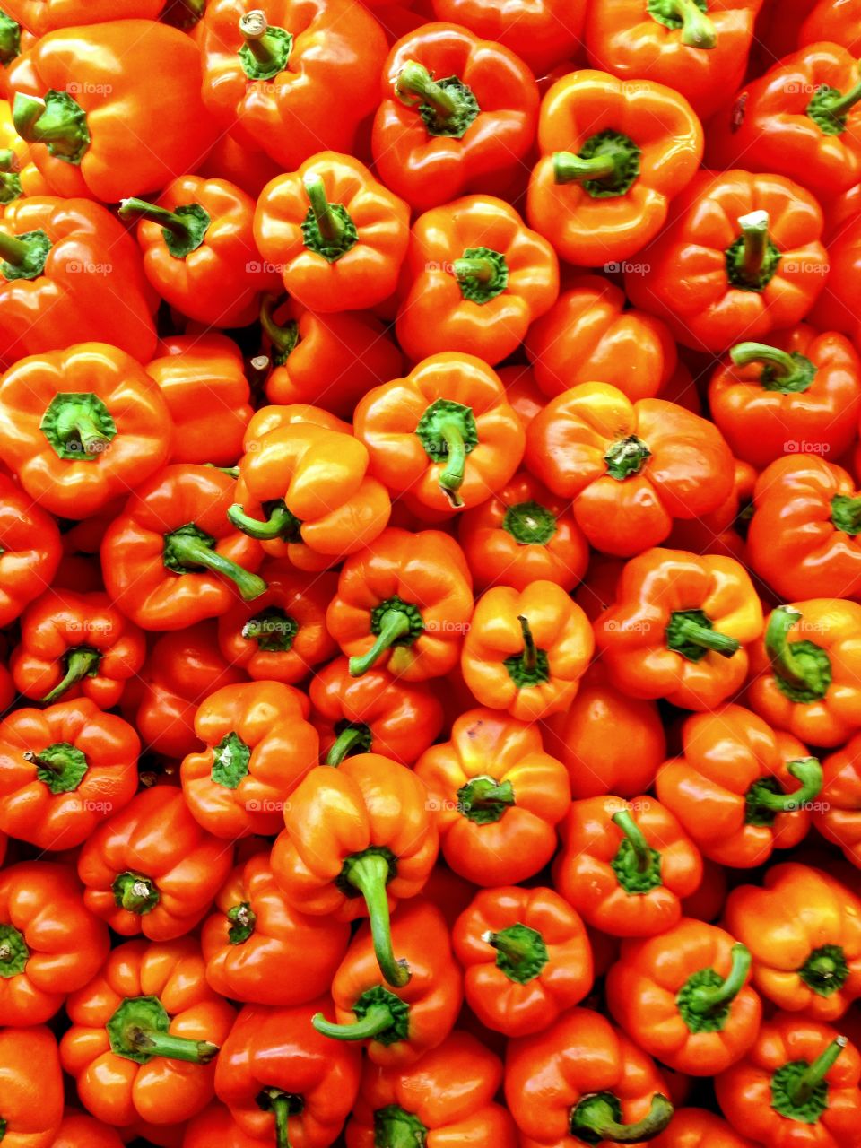 Orange peppers background. Heap of orange peppers on display
