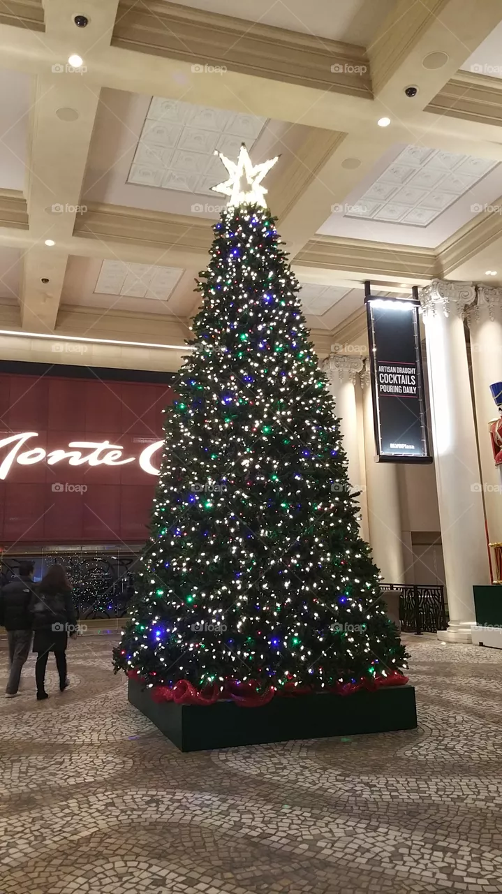 Christmas, Decoration, No Person, Celebration, Christmas Tree