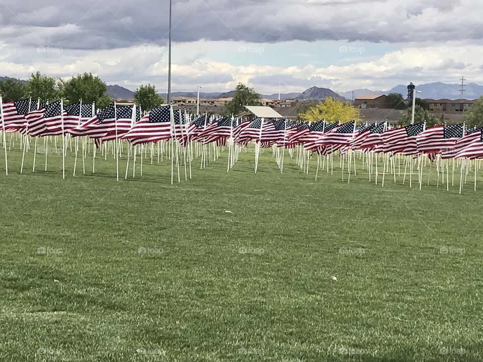 Field of flags