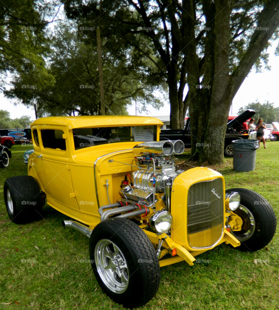 Yellow is my favorite color and it matches my disposition: cheerful and fun to be with, creative, critical of myself, and a perfectionist! Yellow is the best color to create enthusiasm for life and can awaken greater confidence and optimism! I love a challenge, particularly a mental challenge! 